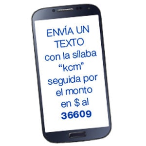 text-to-give-usa_300